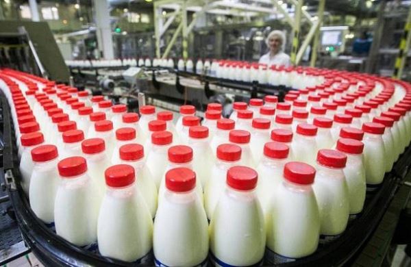 <br />
Вице-премьер дал обещание Путину изменить качество молока<br />
