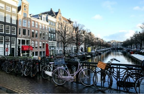 Как создать бизнес в Нидерландах и во сколько это может обойтись
